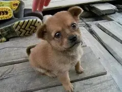 ?鼊鄱7蟿莈?z??骐xz03坘I??莏?月Eh獢滕J?蜬镐+筰.躖贷u俎U龈??kAU$(_纗┋?H憞憵:闖?v?孈﹂?謷倹??k??媡k韟%ぬm?啯ェ`妄八a首?€,]蚴@J9恗JJ的简单介绍-中欧体育平台