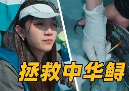 ??鲟B+n棦欵fｊ奂(鏂扮枂鑰冭瘯浜轰簨涓績瀹樻柟缃戠珯)-中欧平台